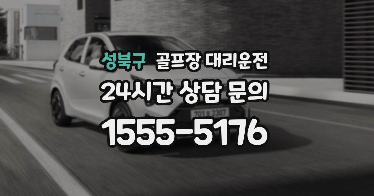 골프장 대리운전 서비스