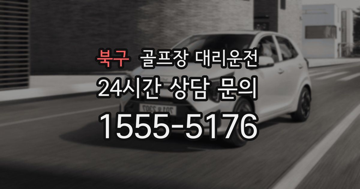 골프장 대리운전 서비스