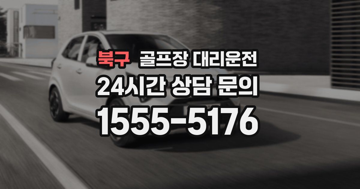 골프장 대리운전 서비스