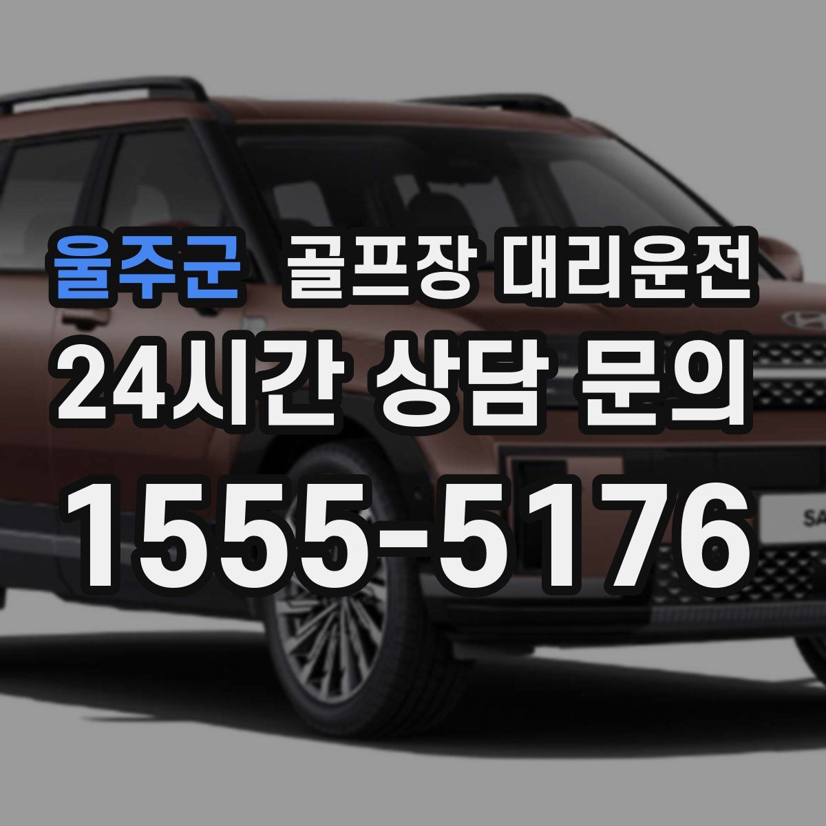 골프장 대리운전