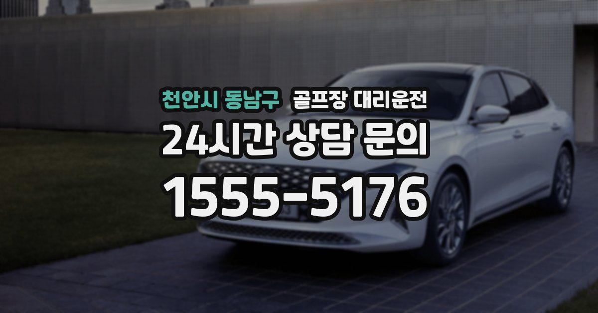 골프장 대리운전 서비스