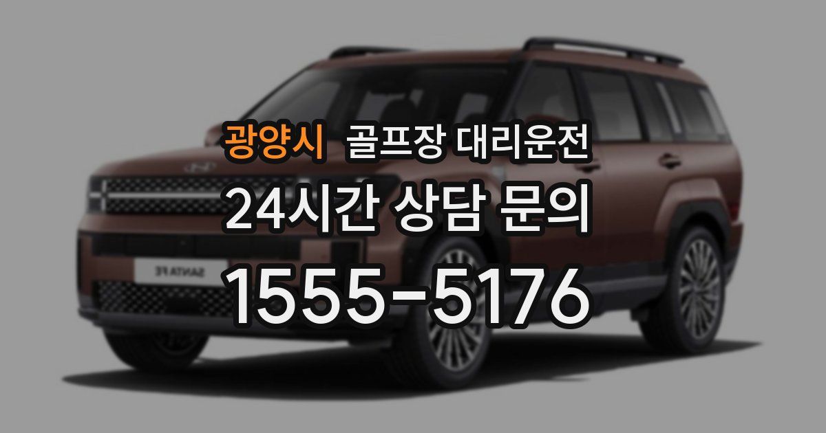 골프장 대리운전 서비스