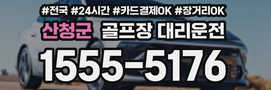 산청군 골프장 대리운전
