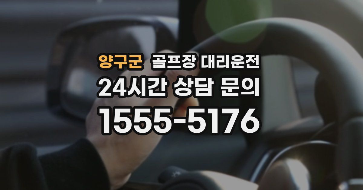 골프장 대리운전 서비스