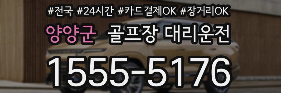 양양군 골프장 대리운전