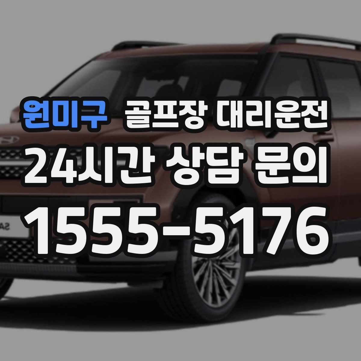 원미구 골프장 대리운전 연습볼 반납 동선까지 생각한 이동