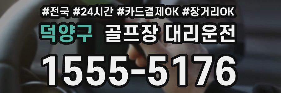 덕양구 골프장 대리운전