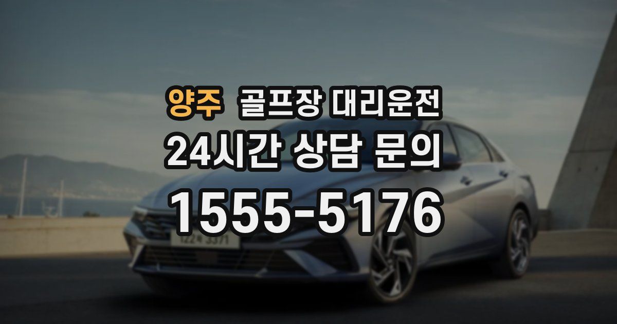 골프장 대리운전 서비스