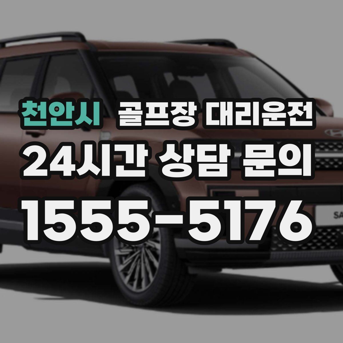 천안시 골프장 대리운전 코스 주차 타워 진입 가능 여부 점검