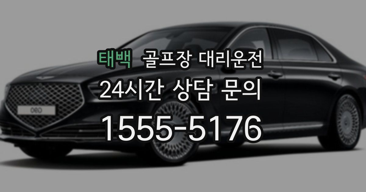 골프장 대리운전 서비스