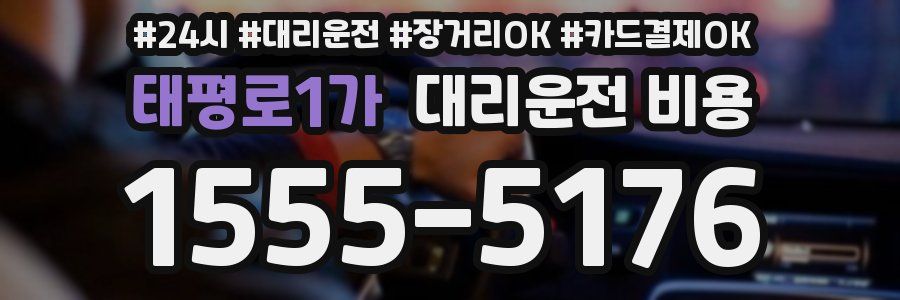 태평로1가 대리운전 비용