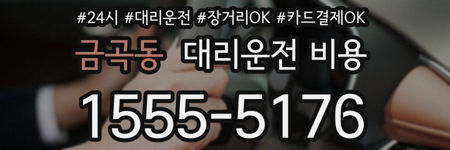 금곡동 대리운전 비용