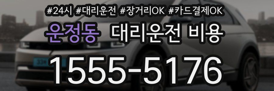 운정동 대리운전 비용