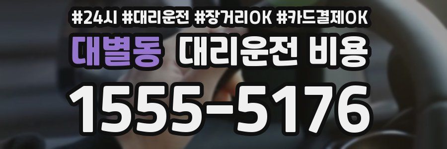 대별동 대리운전 비용