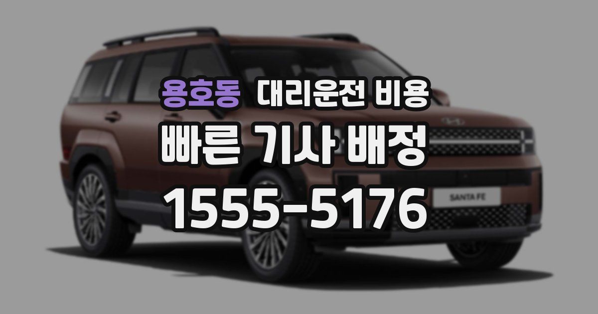 용호동 대리운전 가격