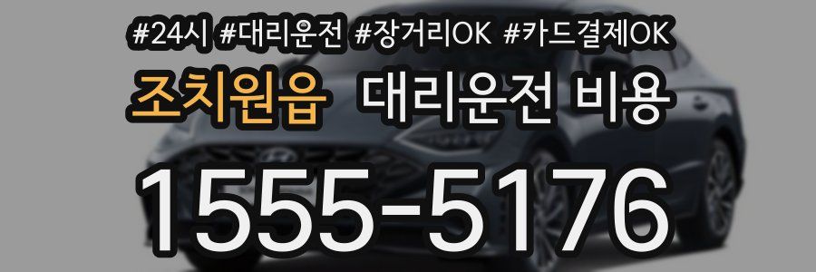 조치원읍 대리운전 비용