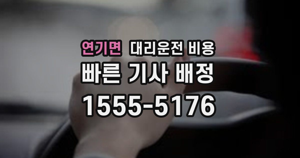 연기면 대리운전 가격