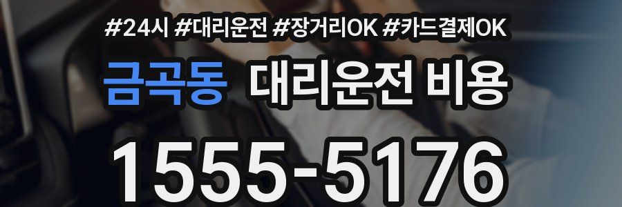 금곡동 대리운전 비용