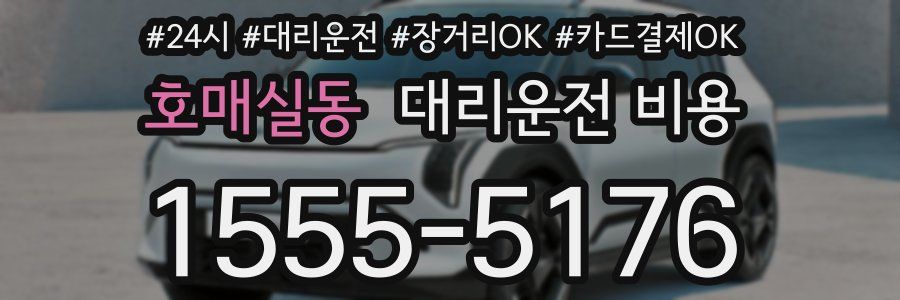 호매실동 대리운전 비용