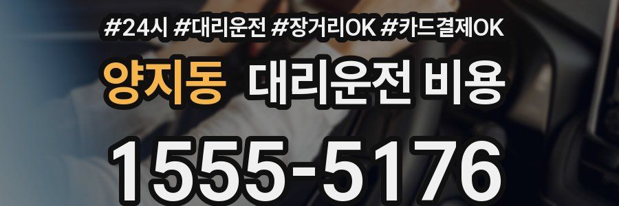 양지동 대리운전 비용