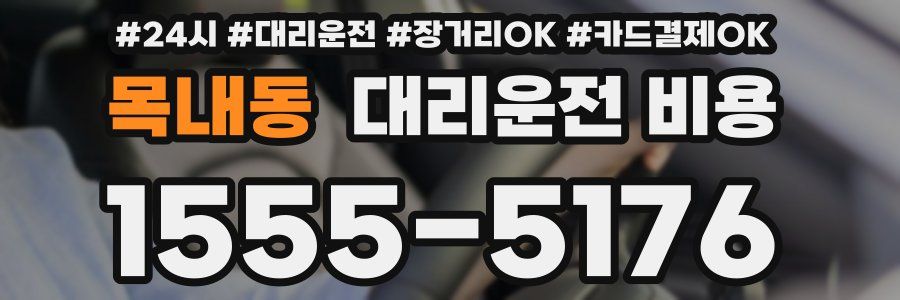 목내동 대리운전 비용