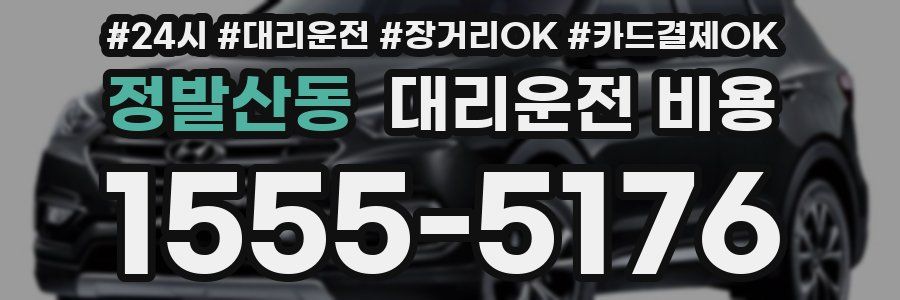 정발산동 대리운전 비용