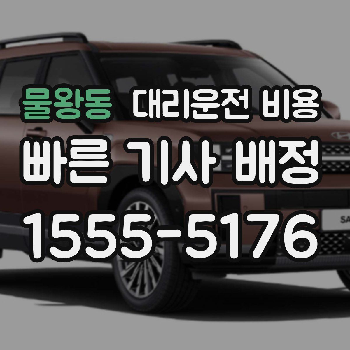 물왕동 대리운전