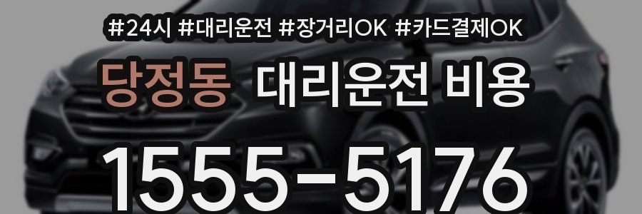 당정동 대리운전 비용