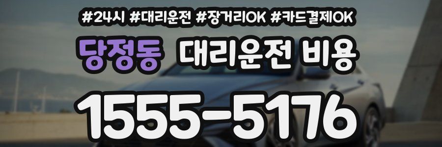 당정동 대리운전 비용