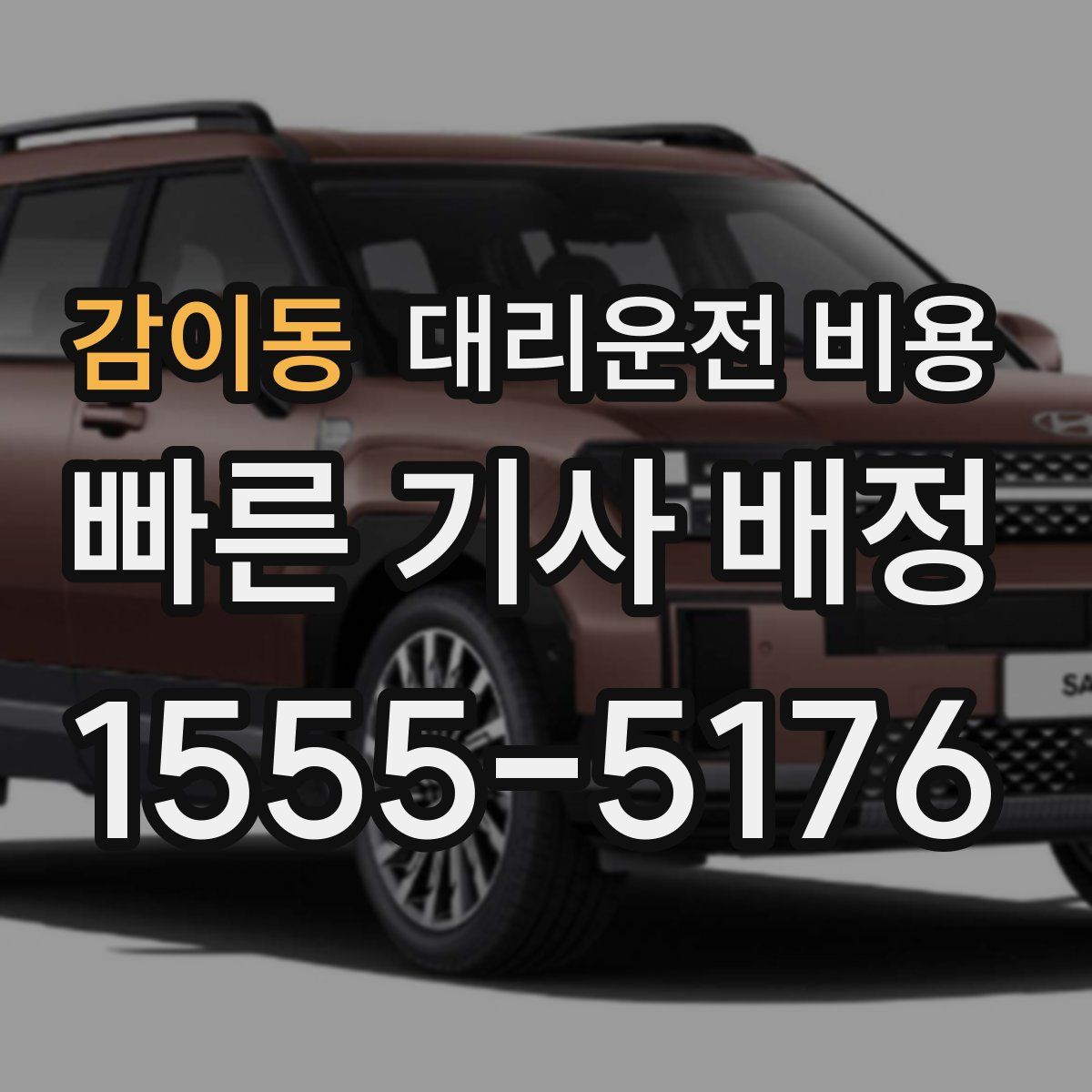 감이동 대리운전