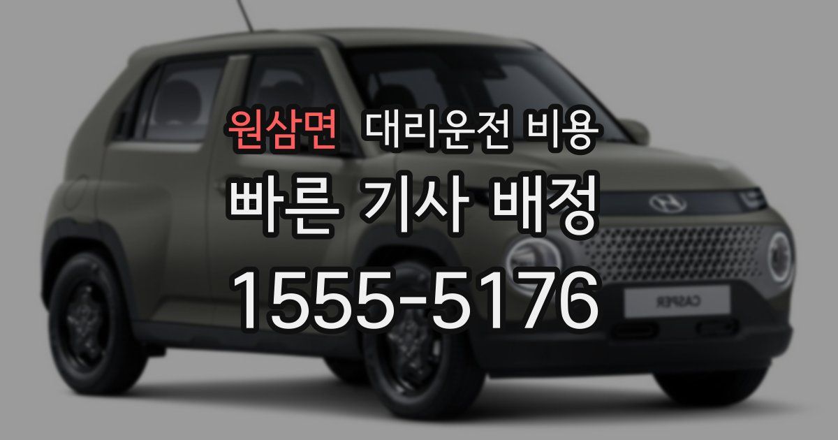 원삼면 대리운전 가격