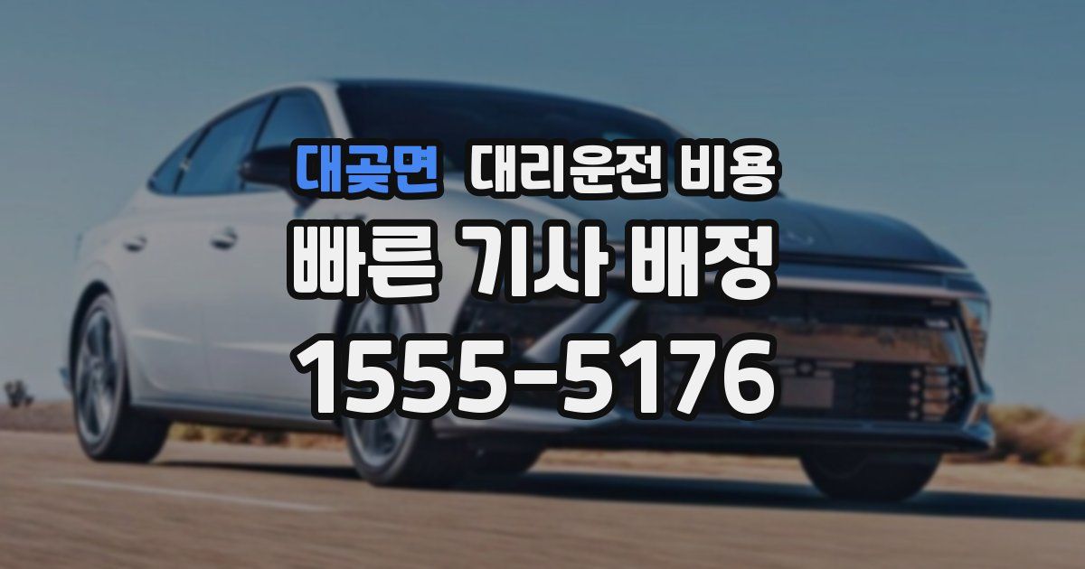 대곶면 대리운전 가격