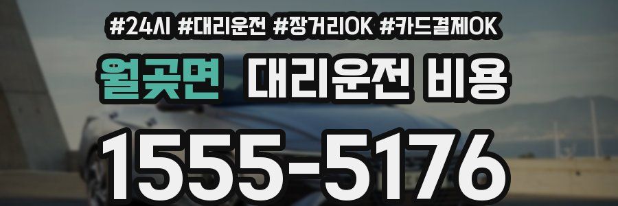 월곶면 대리운전 비용