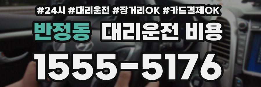 반정동 대리운전 비용