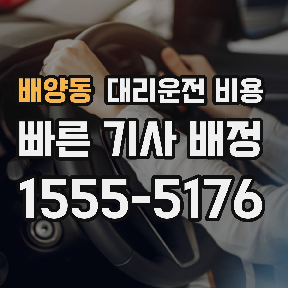 배양동 대리운전