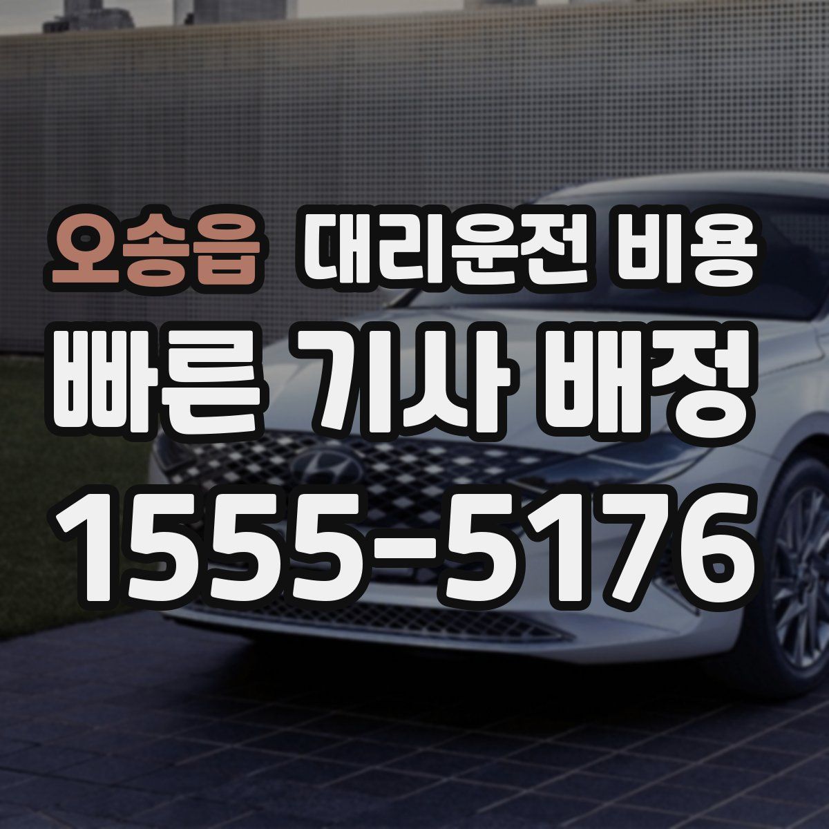 오송읍 대리운전