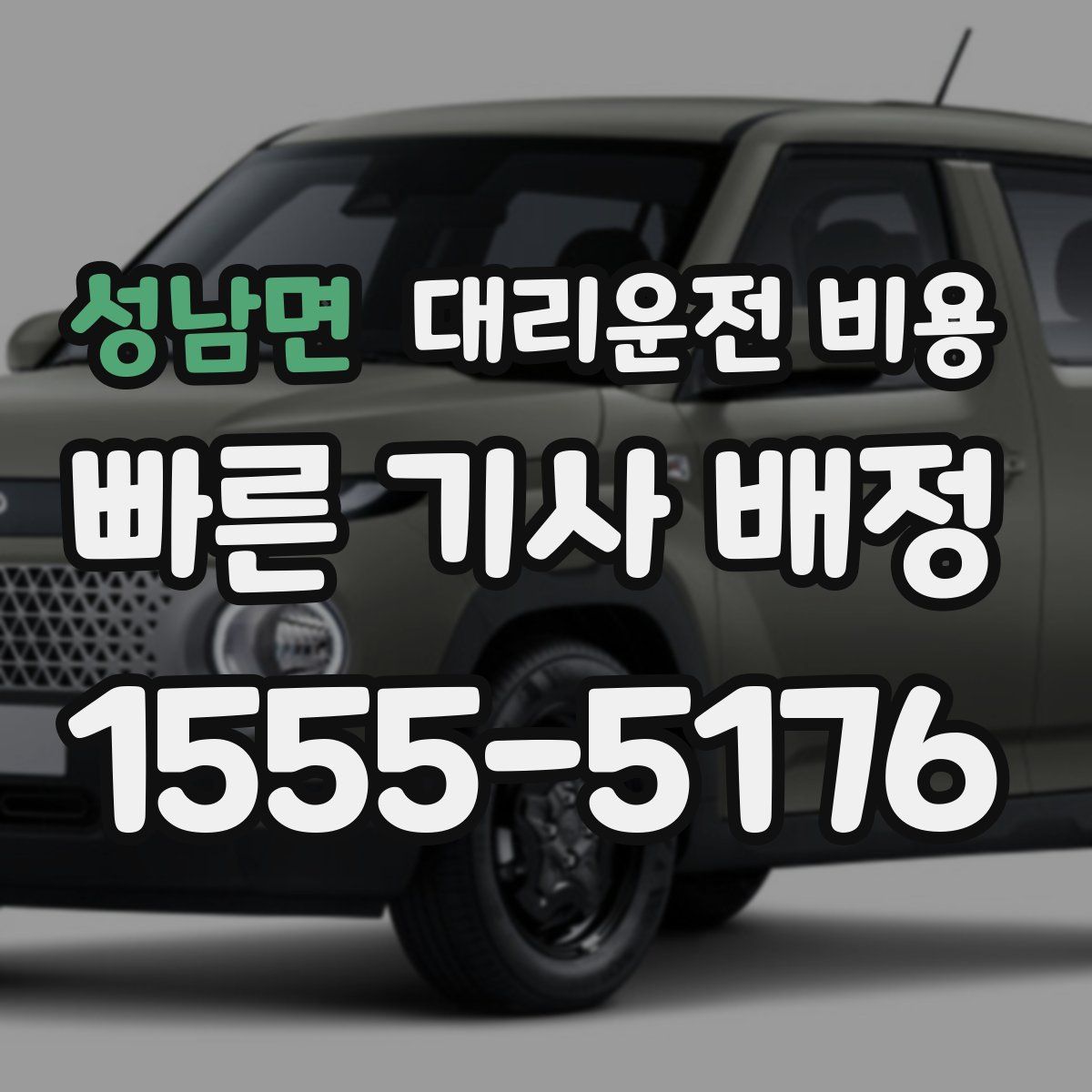 성남면 대리운전