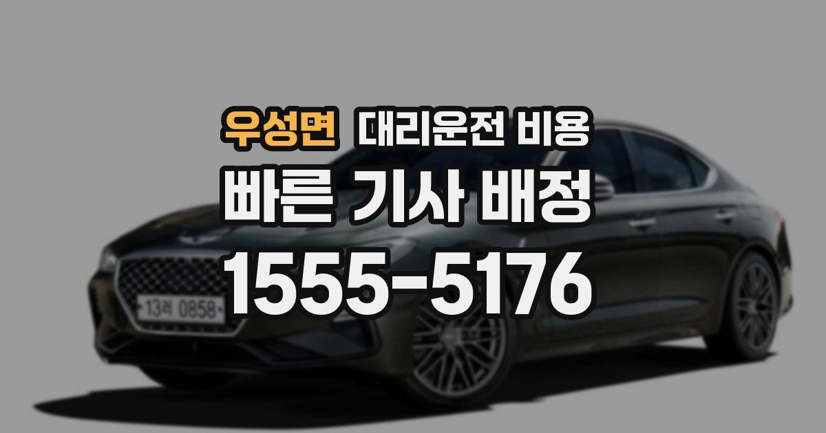 우성면 대리운전 가격