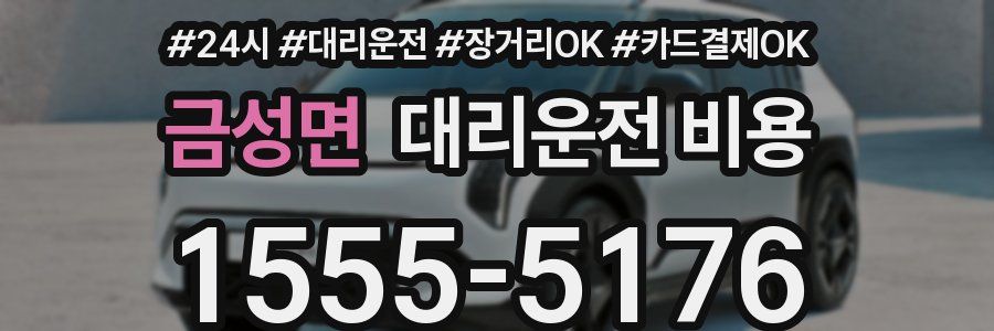 금성면 대리운전 비용