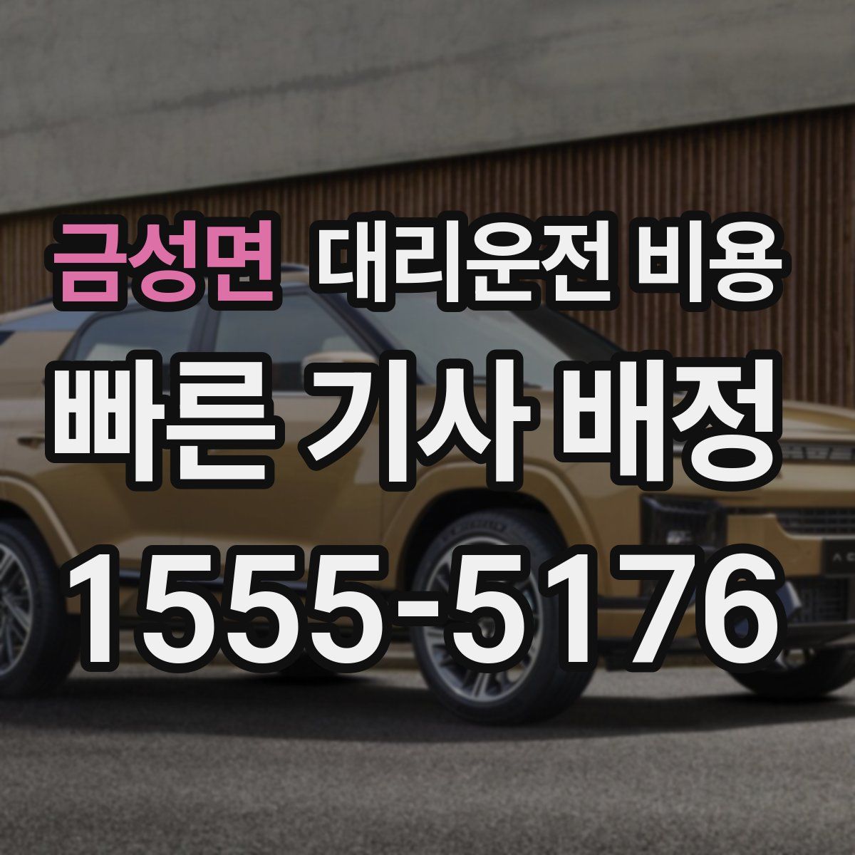 금성면 대리운전