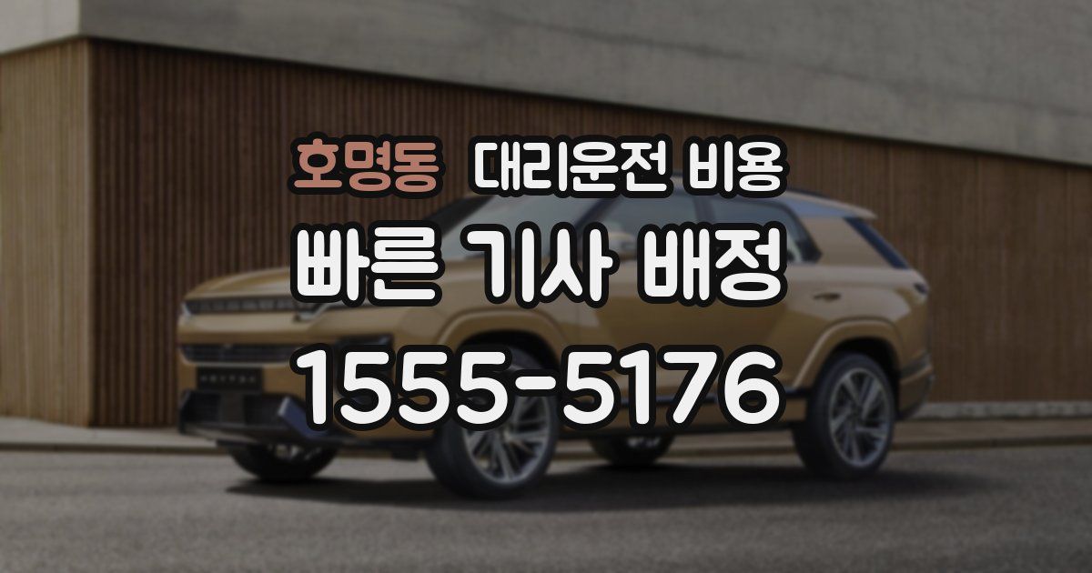 호명동 대리운전 가격