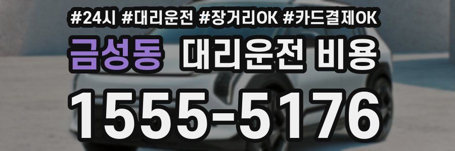 금성동 대리운전 비용