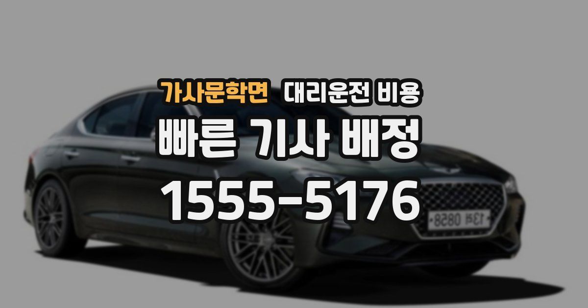 가사문학면 대리운전 가격