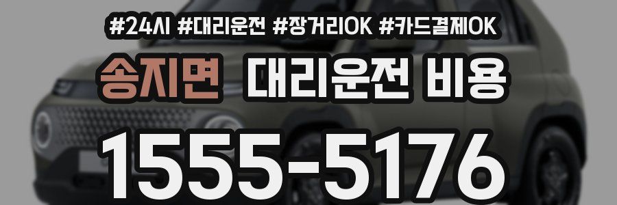 송지면 대리운전 비용