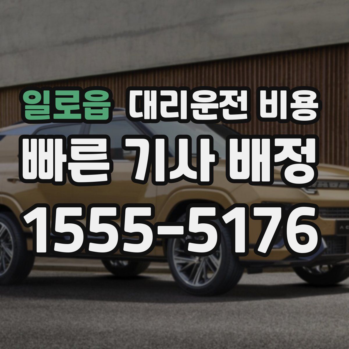 일로읍 대리운전