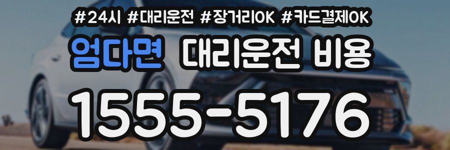 엄다면 대리운전 비용