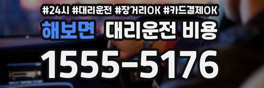 해보면 대리운전 비용