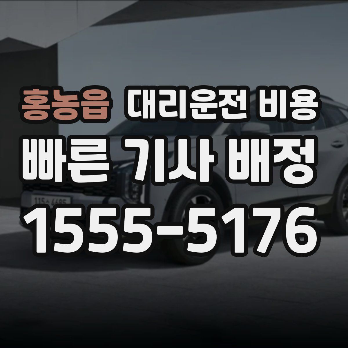 홍농읍 대리운전