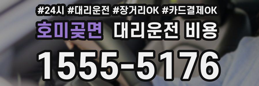 호미곶면 대리운전 비용