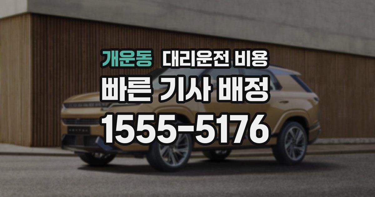 개운동 대리운전 가격